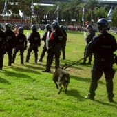 copexpo